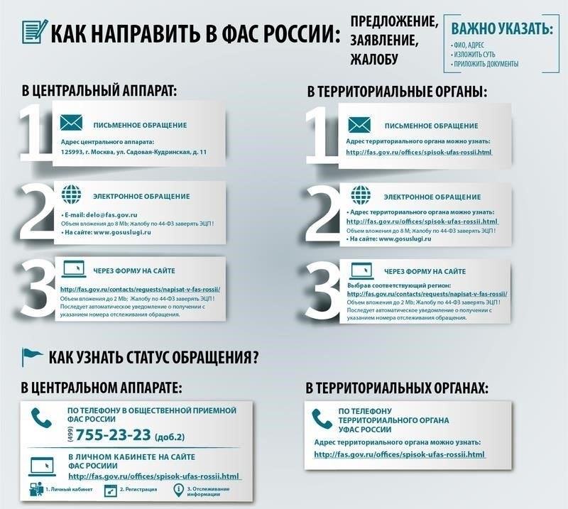 Как подготовить и подать жалобу в течение 24 часов