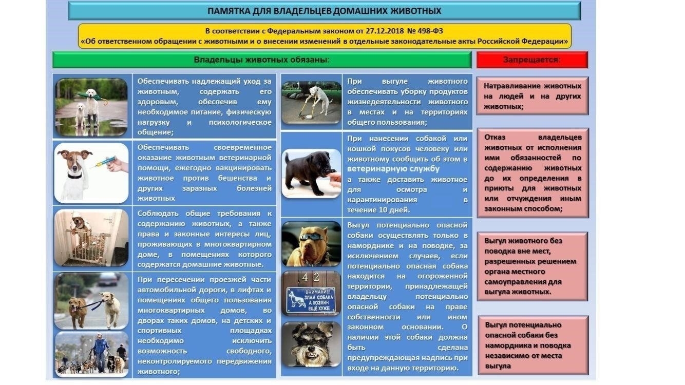 Конкретные виды жестокого обращения с животными, охватываемые статьей 11