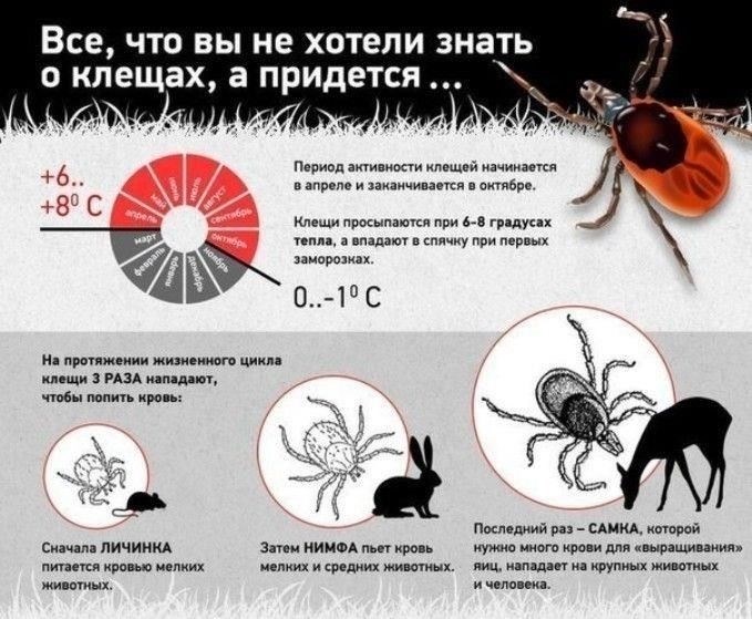 Начните с тщательного анализа обстоятельств, которые привели к пропуску срока. Если задержка была вызвана непредвиденными обстоятельствами, такими как проблемы со здоровьем, отсутствие уведомления или другие уважительные причины, убедитесь, что у вас есть подтверждающие документы. Это будет иметь решающее значение при подаче ходатайства в суд. Например, если вы не смогли действовать из-за неполучения судебного приказа или из-за проблем с исполнением, вам нужно будет четко объяснить эти причины в своем ходатайстве.