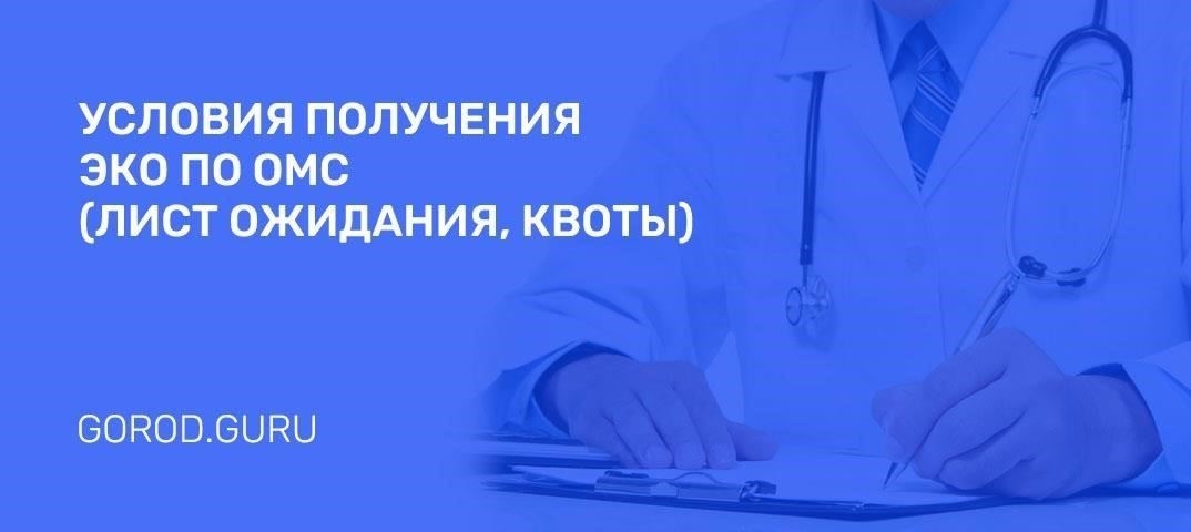 Необходимые документы для проведения операции по квоте во Владимире