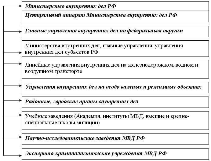 Основные обязанности правоохранительных органов в центральной части Москвы