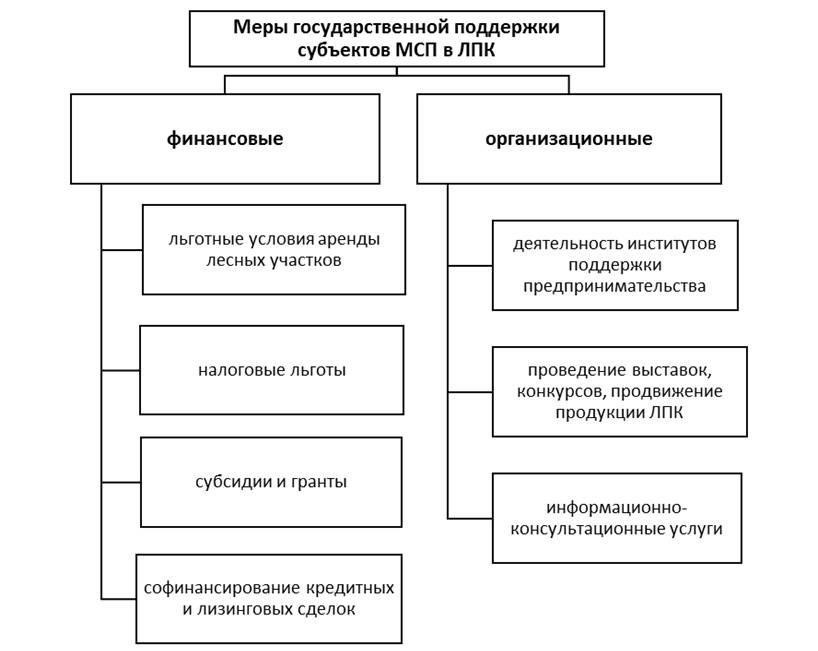 Поддержка частного сектора: Какие возможности существуют помимо государственной помощи?
