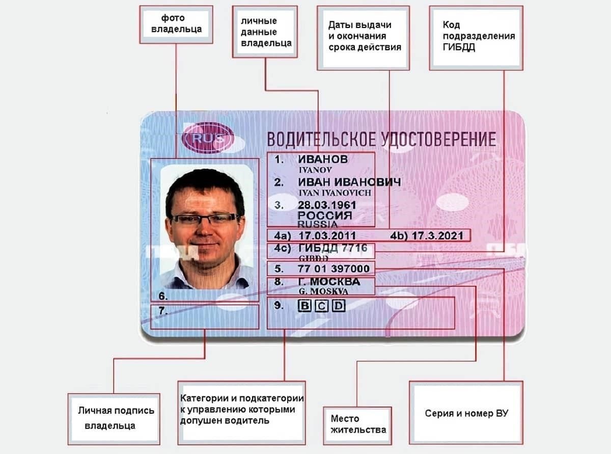 Понимание даты истечения срока действия водительских прав